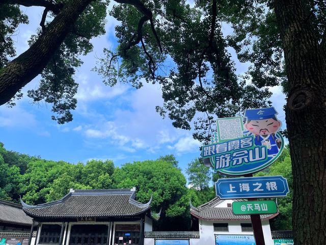 向塔而行,上海的山,上海的斜塔! 向塔而行,上海的山,上海的斜塔!