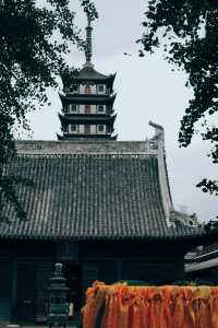 發現上海|真如寺真的好,就是鴿子shi太多咯