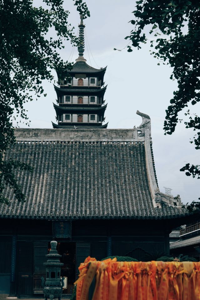 發現上海|真如寺真的好,就是鴿子shi太多咯 發現上海|真如寺真的好,就是鴿子shi太多咯