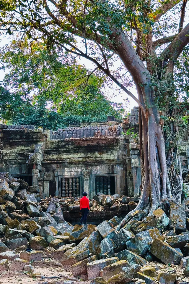 The beauty of the ruins of Beng Mealea in Angkor