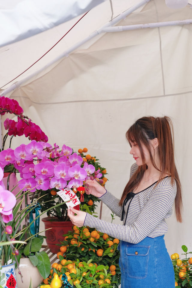 侨城坊花市探秘，春節的浪漫與溫馨在此綻放！