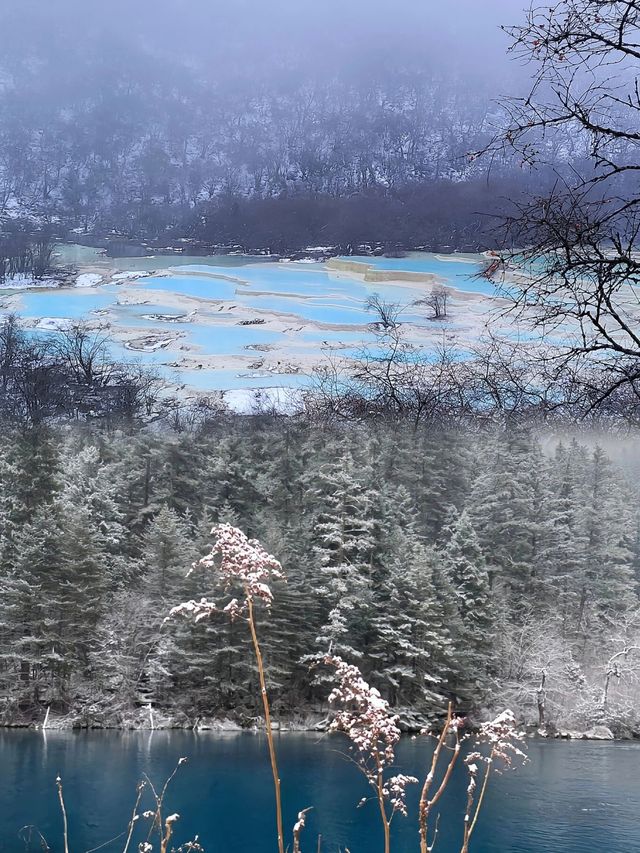 冬遊九寨溝！便宜！獨特！不擠！