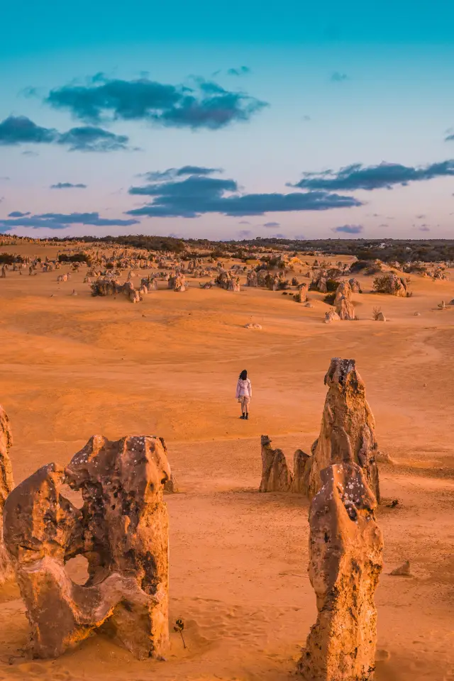 Spring Festival Travel | Western Australia Pinnacles Self-Driving Guide (Dry Goods