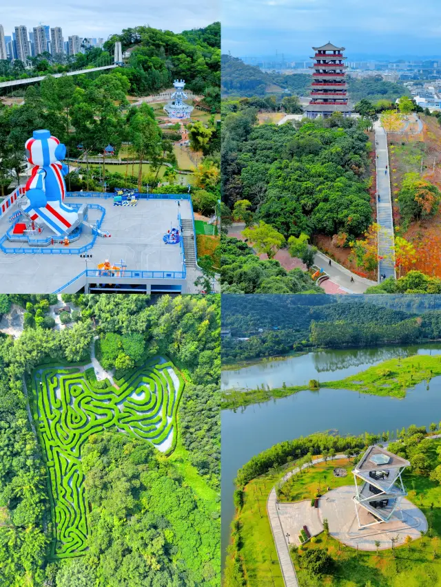 東莞新春逛公園平淡生活裡的小趣味