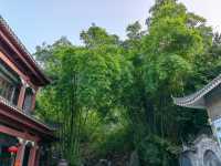 廣東唯一的竹海森林公園，翠竹綿延浩如煙海