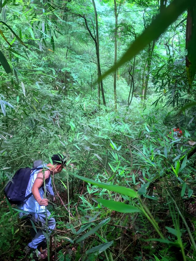 斗篷山絕境過後的狂歡