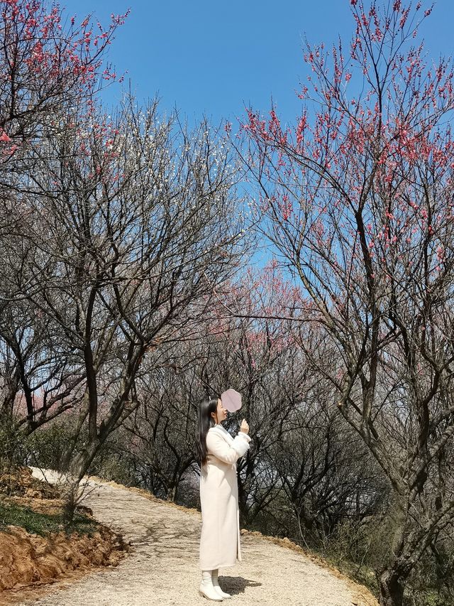 春遊記 沉醉在這一池碧水藍天中