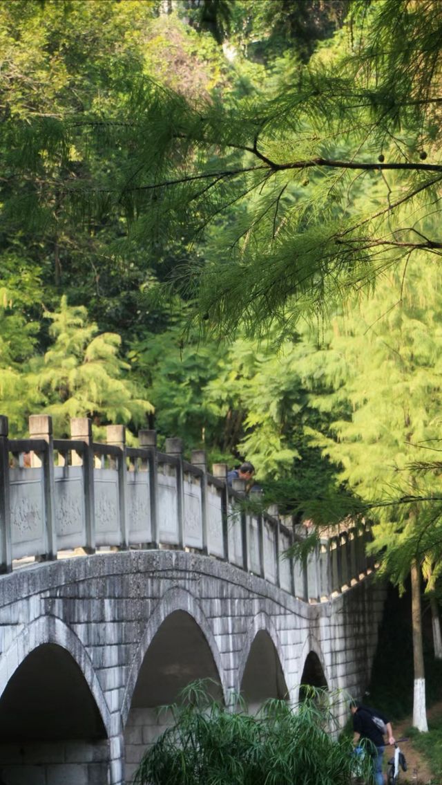 彩雲湖公園 感受綠野仙蹤般的浪漫