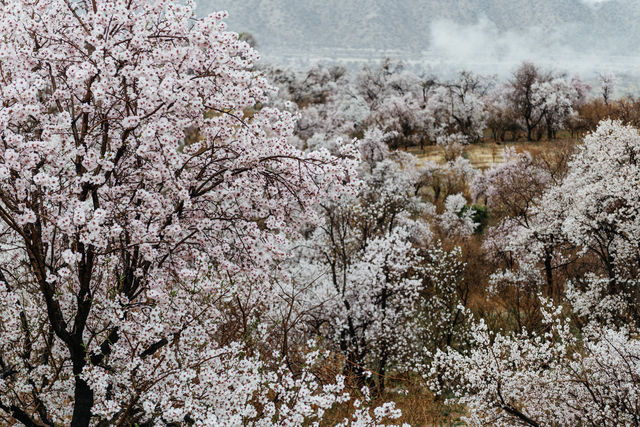 再會波斯 | 藏著深山中的美麗小村