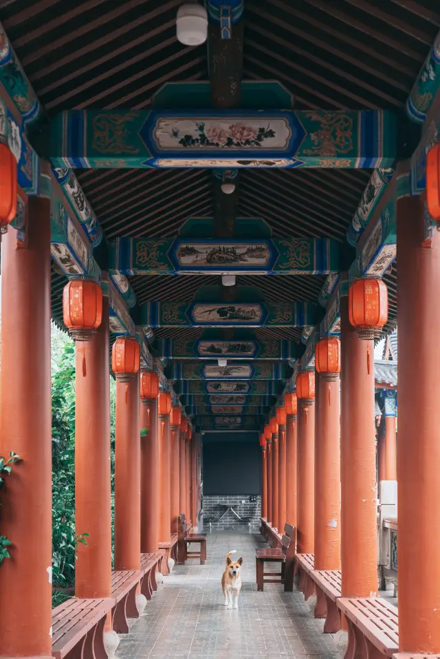 A hidden gem at the foot of Yunlong Mountain | Sanqing Temple