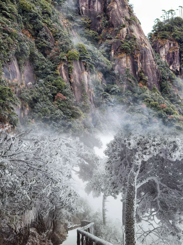 三清山保姆級攻略 ｜江西絕景在此