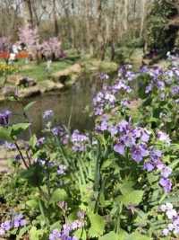 踏春南京中山植物園