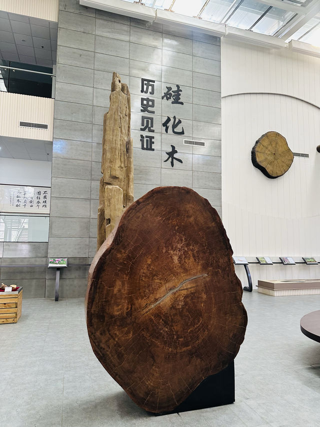 昆嵛山森林文化博物館