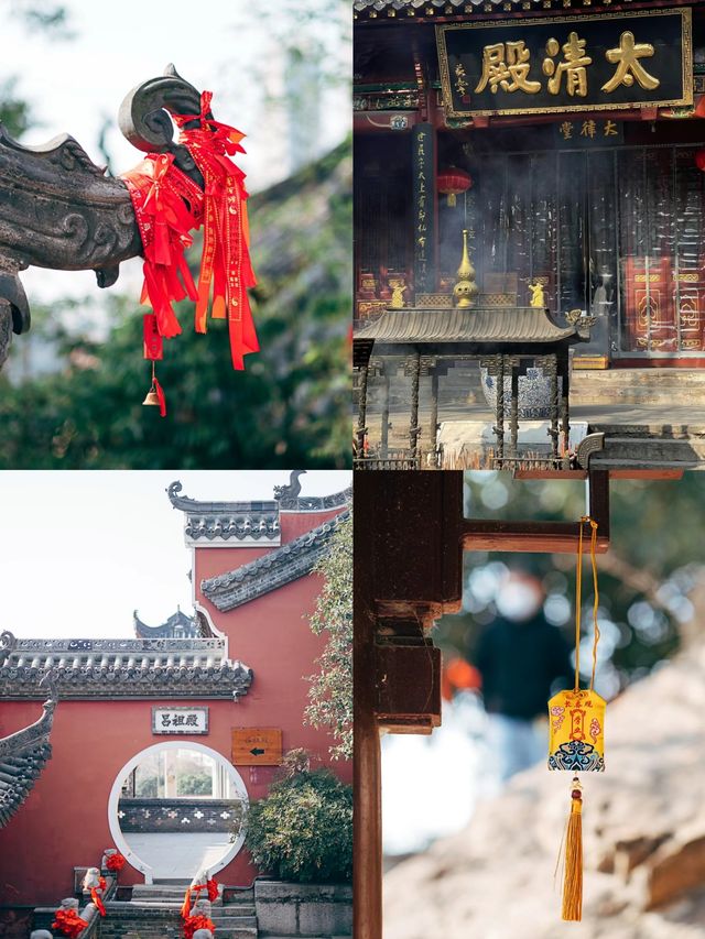 長春觀玉蘭花～我幫你們去看了！