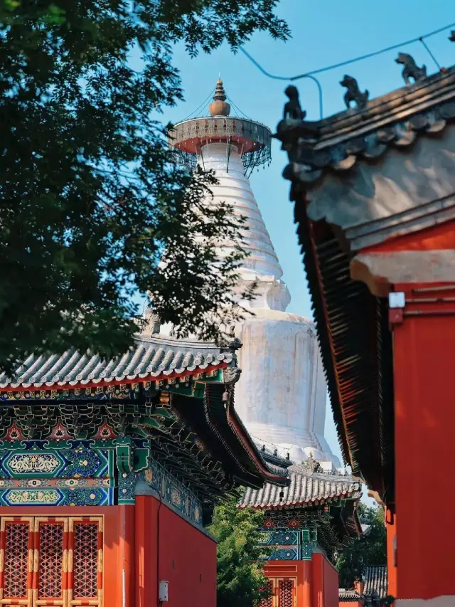 8 Must-Visit Hutongs in Beijing During Autumn | City walk check-in