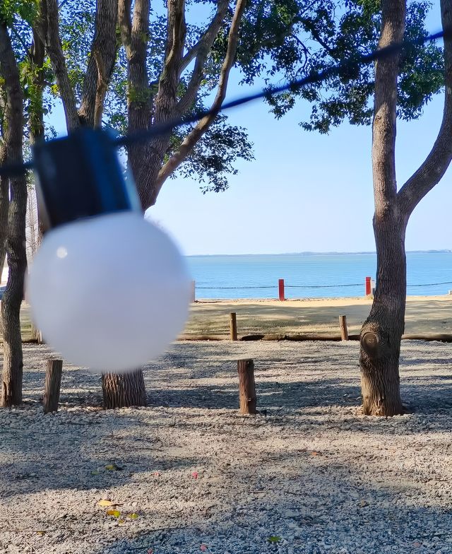 上海99%的人不知道的寶藏地，清明五一好去處