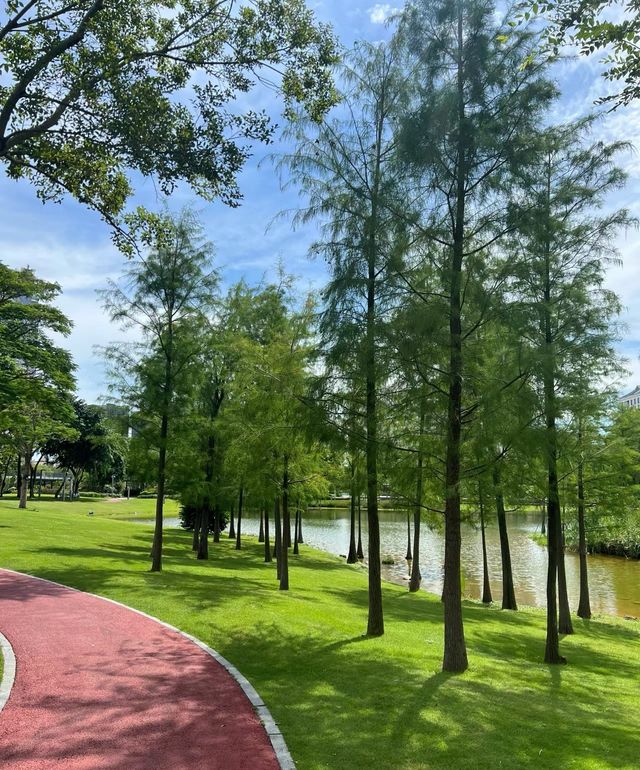 不在國外！在深圳香蜜湖公園也太浪漫了吧