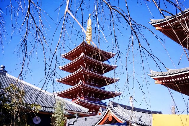 打卡東京最古老的寺廟｜淺草寺