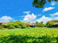 東莞粵暉園｜嶺南粵式園林