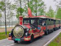 人與自然，和諧共生——大美洋沙湖濕地公園