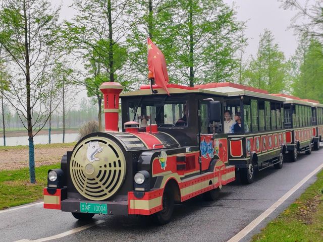 人與自然，和諧共生——大美洋沙湖濕地公園