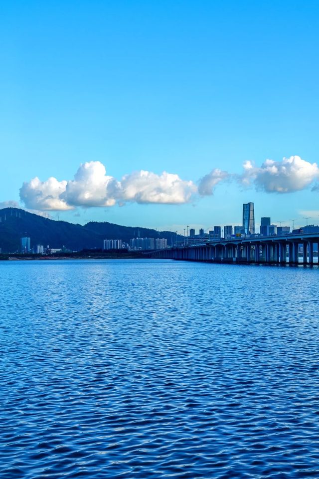 無論是拍拖還是遛娃|歡樂港灣一日遊攻略