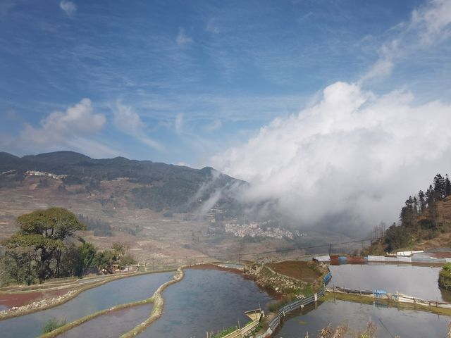 元田梯田觀日出