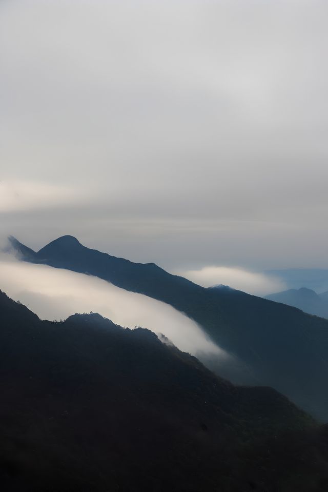 在重慶我會打卡無數次的風景，真的太美了