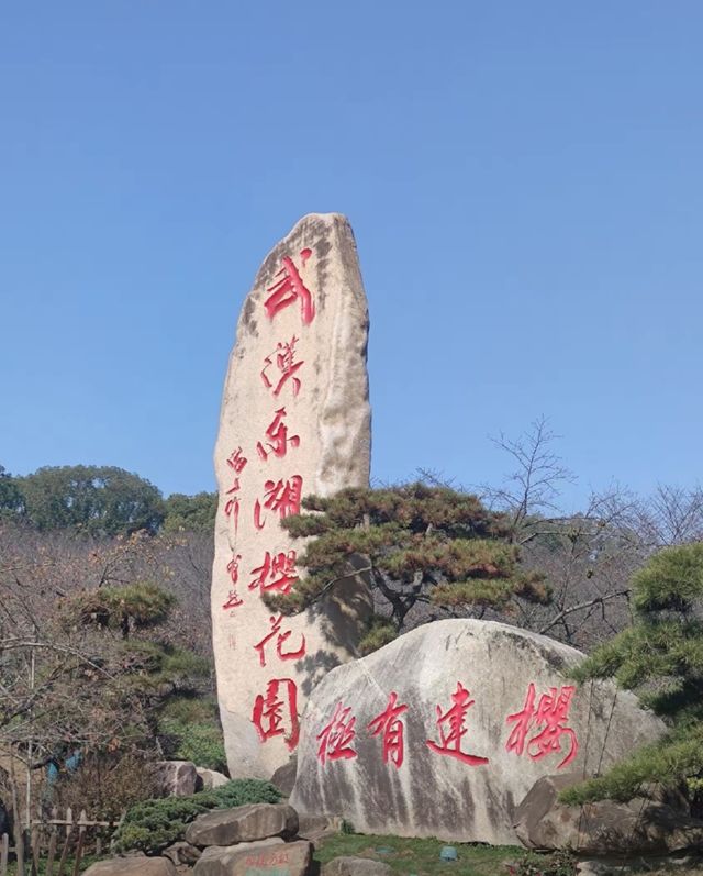 武漢東湖櫻花園