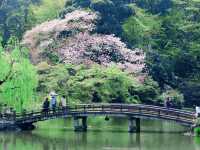 Shinjuku - Tokyo's Island of Trabquility