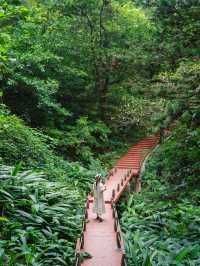 不愧是廣州莫奈花園！！開滿繡球的公園好美