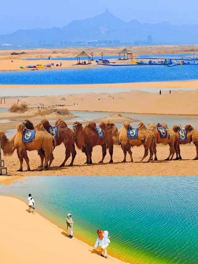 Inner Mongolia Wuhai Travel Guide | Crowds go to the desert to see the sea