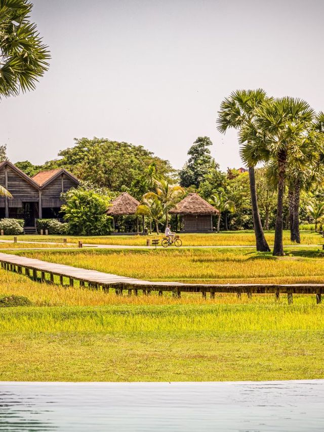 🌴 Siem Reap's Top Staycations: Luxury, Comfort & Views! 🏨✨