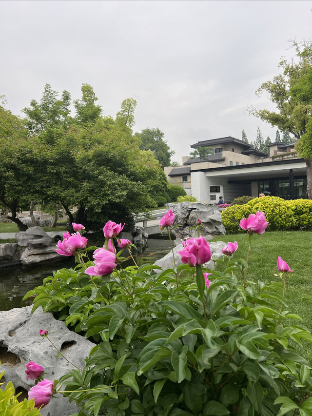 揚州酒店｜住揚州迎賓館，就是住進了瘦西湖～