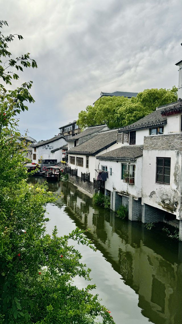 周末出去走走吧｜古鎮裡的花開得特別好