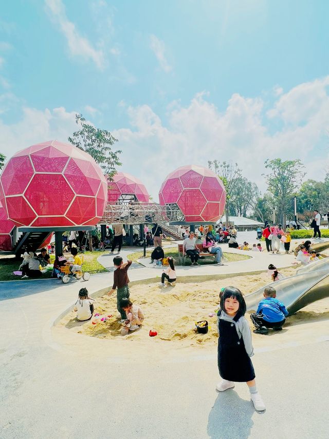 嘿嘿這裡有深圳特產一一荔枝主題兒童樂園