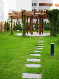 🌟 Dazzling Doha Stay: Waldorf Astoria's Opulence 🌟