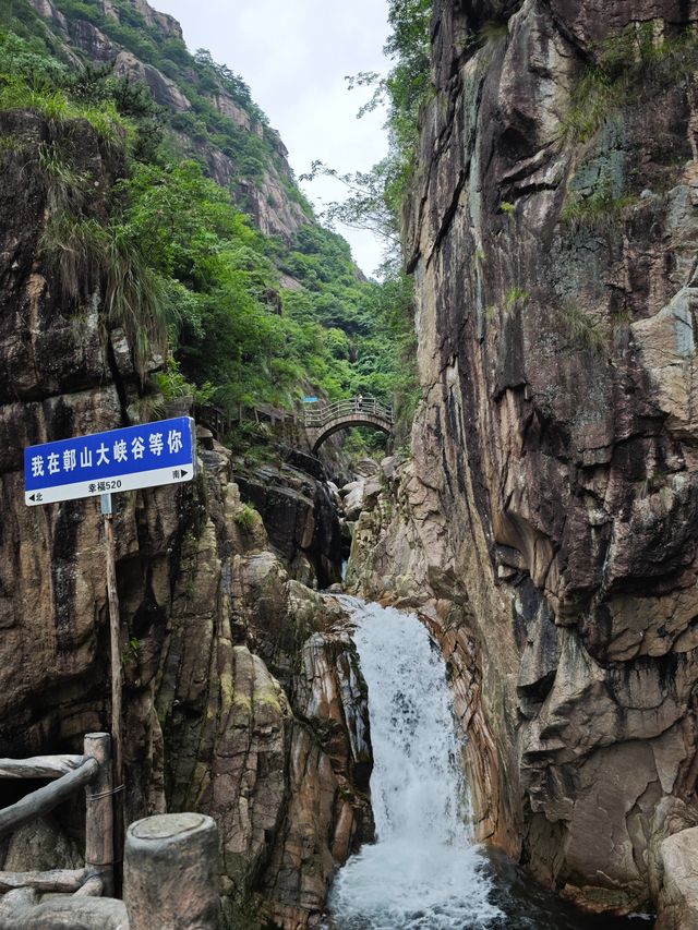 聽勸！早起玩得爽