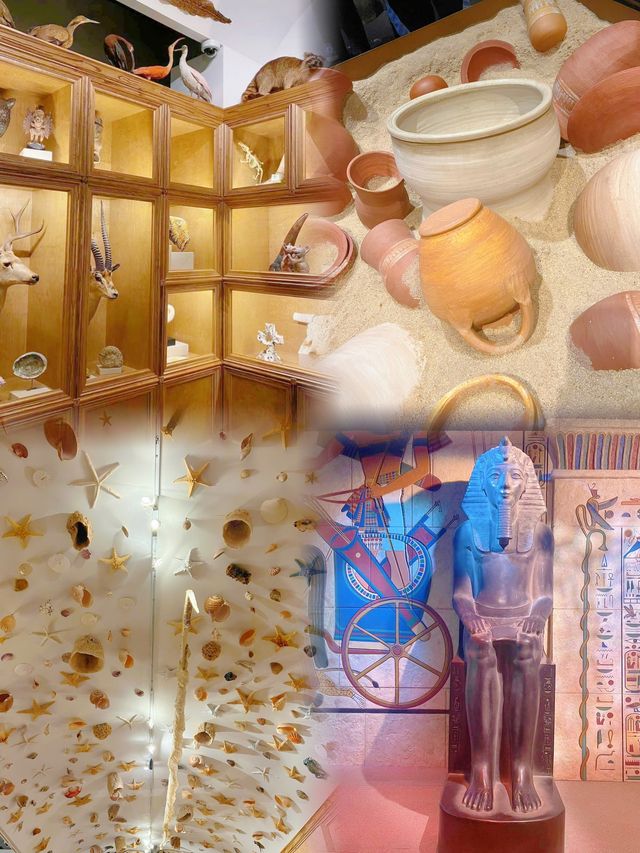 後悔沒早點來休斯頓自然科學博物館