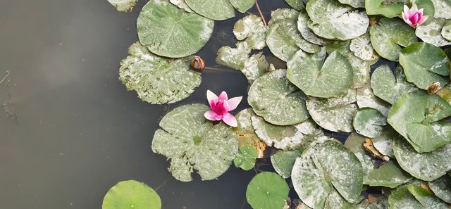 張掖國家濕地公園