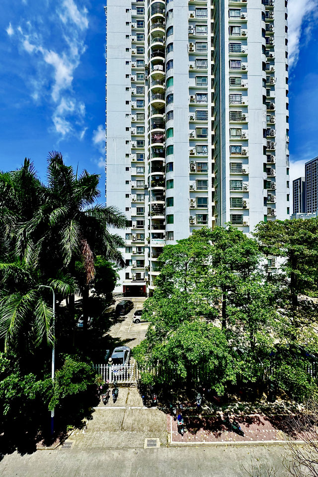 6月·北海街道隨手拍 6月·北海街道隨手拍