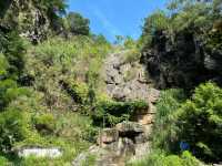 廈門洋麻山森林公園遊玩攻略！超詳細！