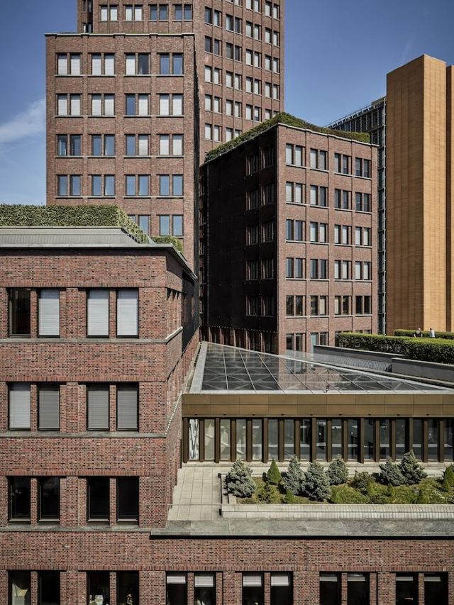 🌟 Berlin's Best Bets: Mandala Hotel Magic 🌟