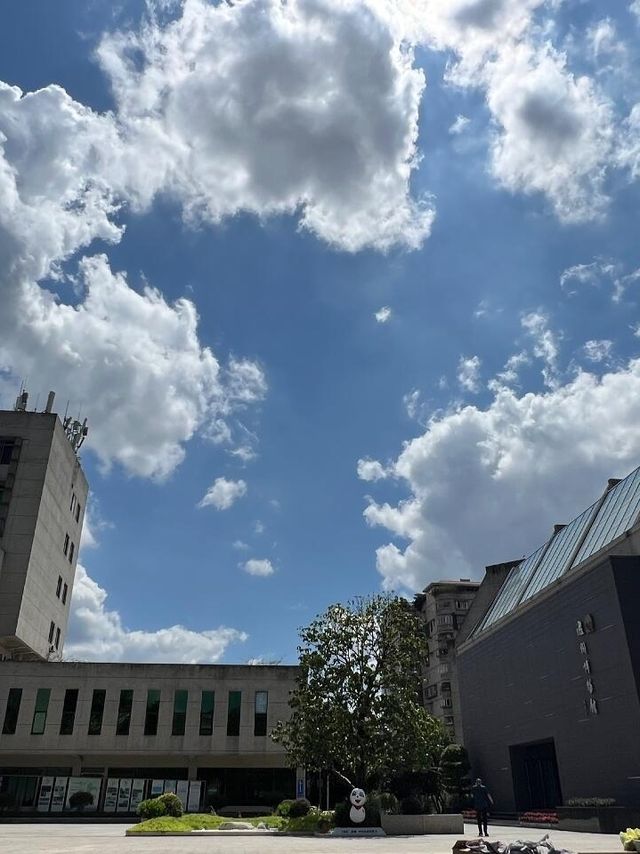 泸州自由行：探寻历史与自然的美妙之旅