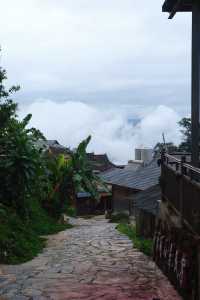 景邁山的勐本村讓我駐足