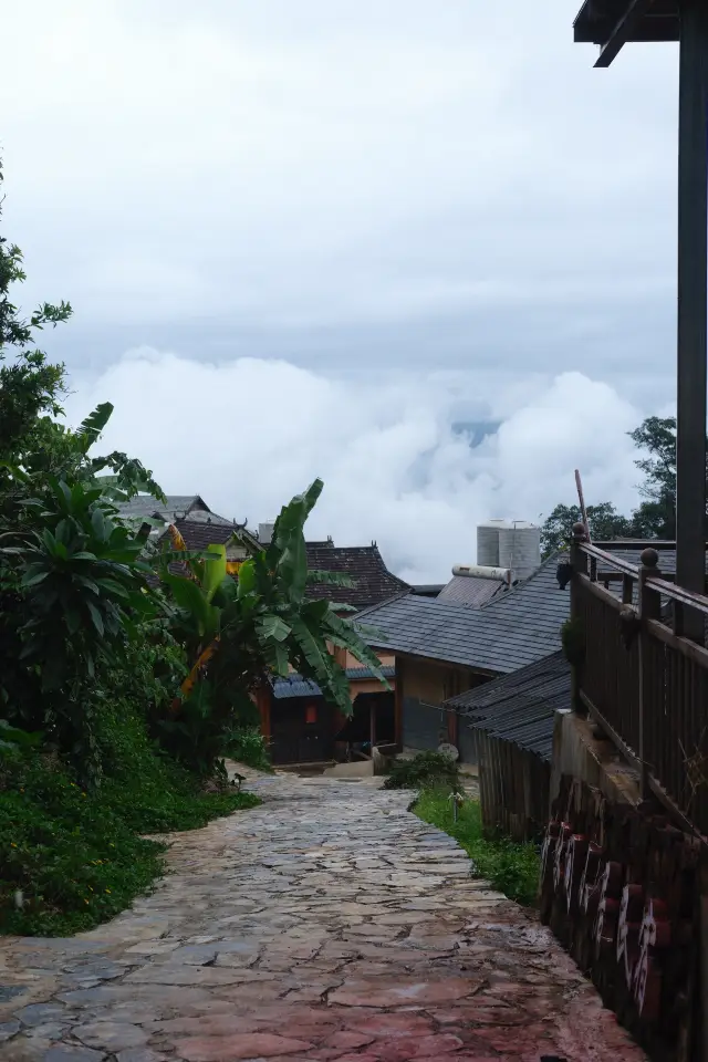 Mengben Village in Jingmai Mountain made me stop