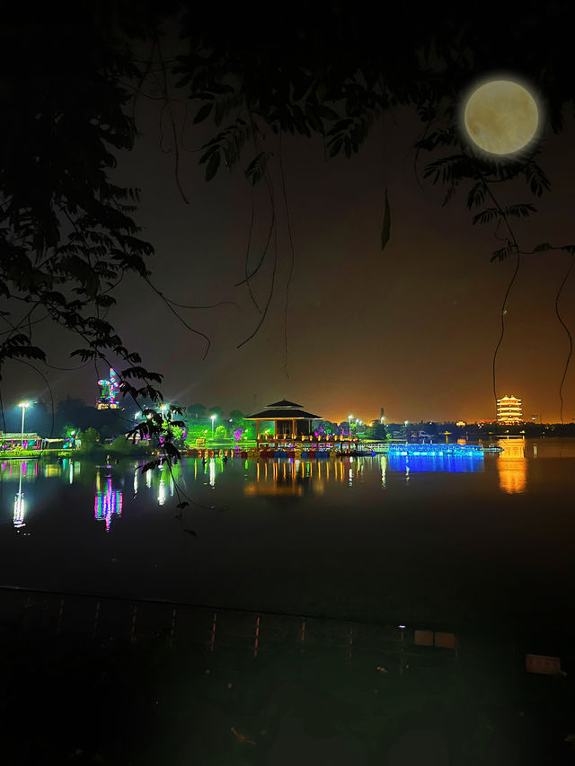 合肥莫奈花園夜遊記｜附攻略