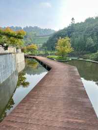 銅鑼壩國家森林公園