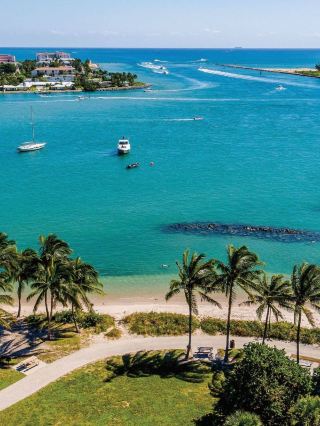 🌴 West Palm Beach's Top Stays: Cozy & Cultured 🏨✨