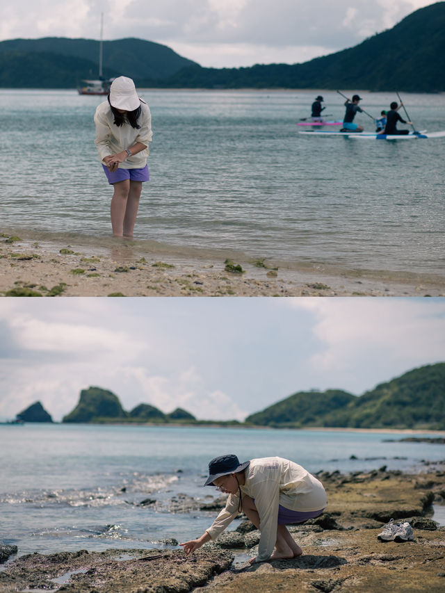 座間味島比納嘉魯島好玩